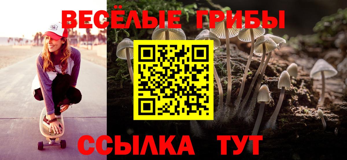 Галлюциногенные грибы прущие грибы  Псилоцибиновые грибы Psilocybine cubensis  Вход с VPN  Губкин 