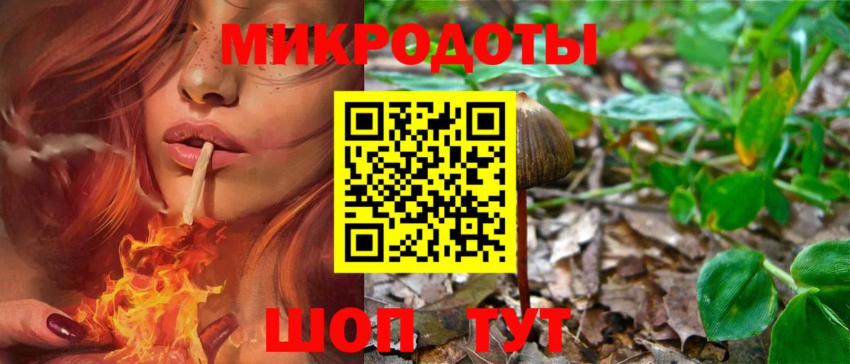 Галлюциногенные грибы Cubensis Губкин