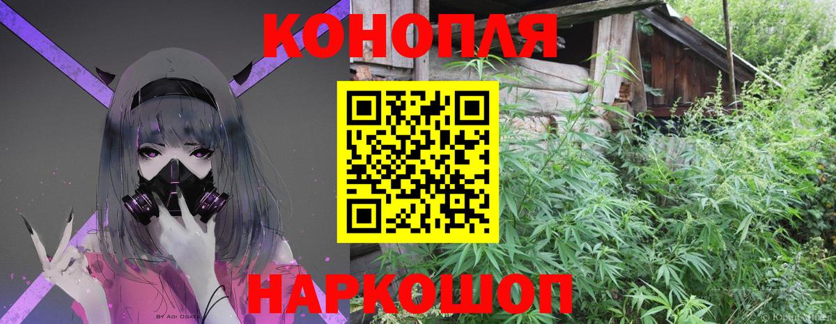 Губкин  Бошки марихуана индика  Шишки марихуана тримм  Вход с VPN 